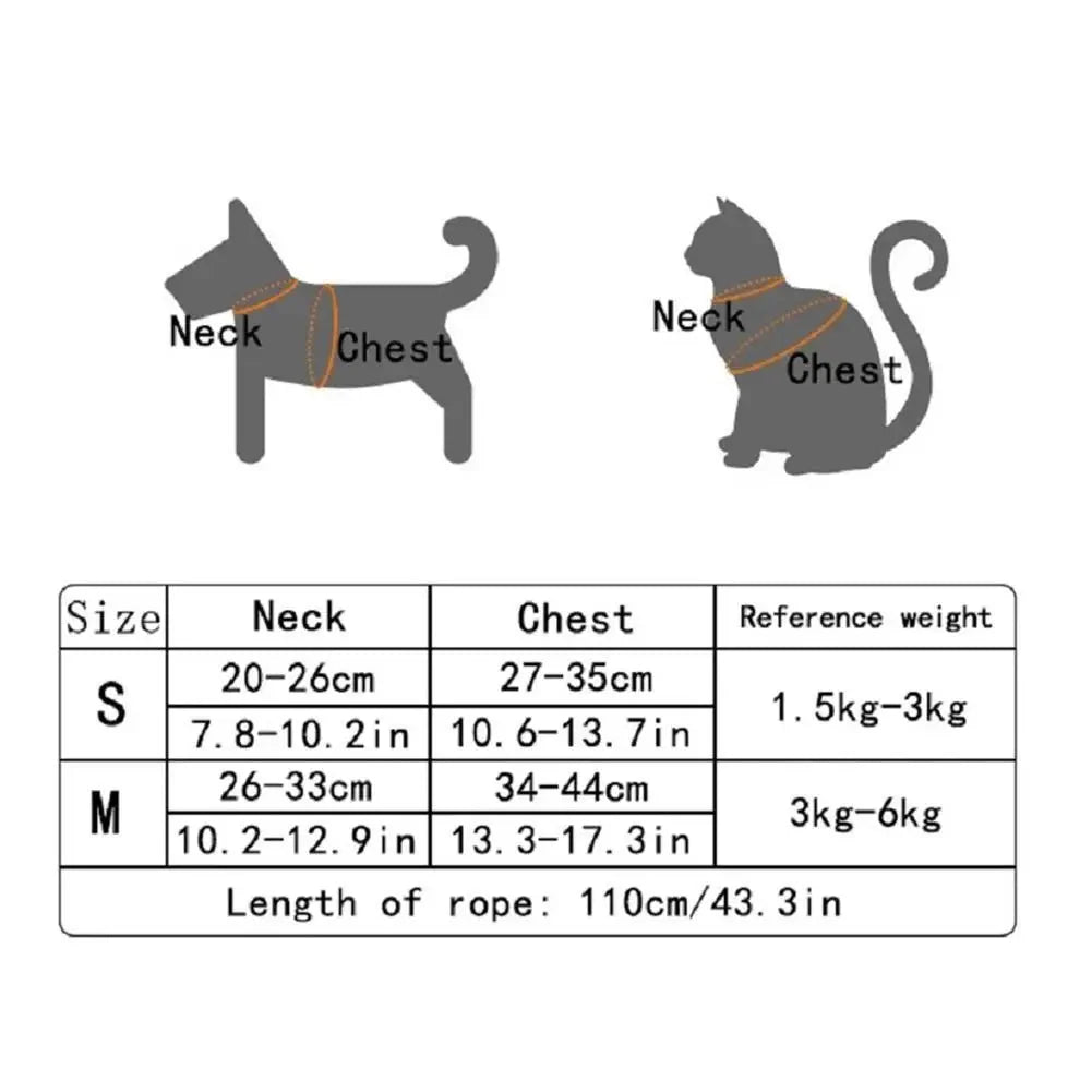 Soft Bear Harness & Leash Set for Cats & Small Dogs