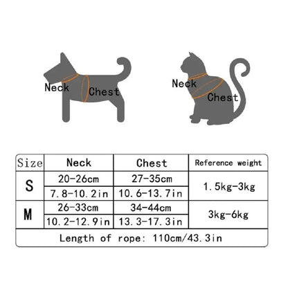 Soft Bear Harness & Leash Set for Cats & Small Dogs