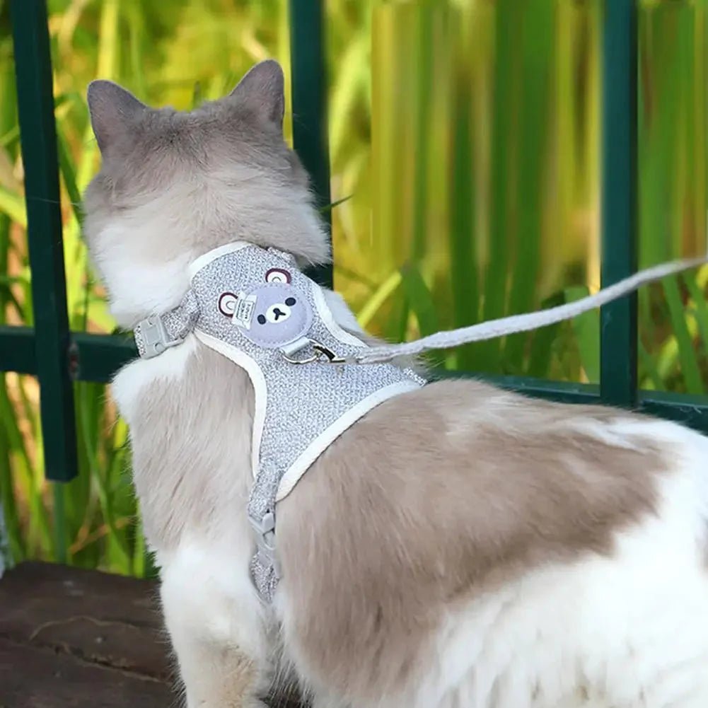 Soft Bear Harness & Leash Set for Cats & Small Dogs